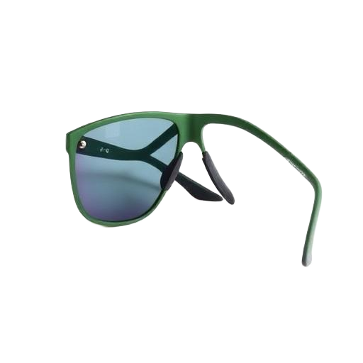 Lunettes polarisées Radar EV